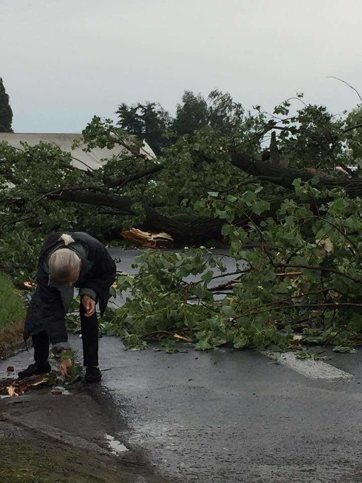 Burza w Łodzi. Nawałnica nad Łodzią. Powalone drzewa, gałęzie na drogach, zalane ulice [ZDJĘCIA]