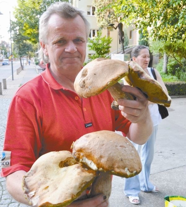 Prawdziwki wyrosły niedaleko Popielowa.