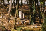Jak znaleźć grób bliskich w Poznaniu? Powstała specjalna wyszukiwarka