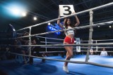 Ring Girls podczas gali bokserskiej w Słupsku [zdjęcia]