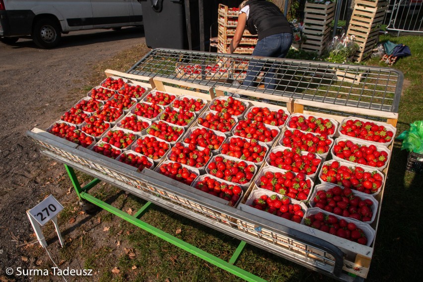 W Barzkowicach rozpoczęły się targi rolne Agro Pomerania. Zorganizowane przez ZODR Barzkowice, który świętuje 65-lecie działalności. ZDJĘCIA