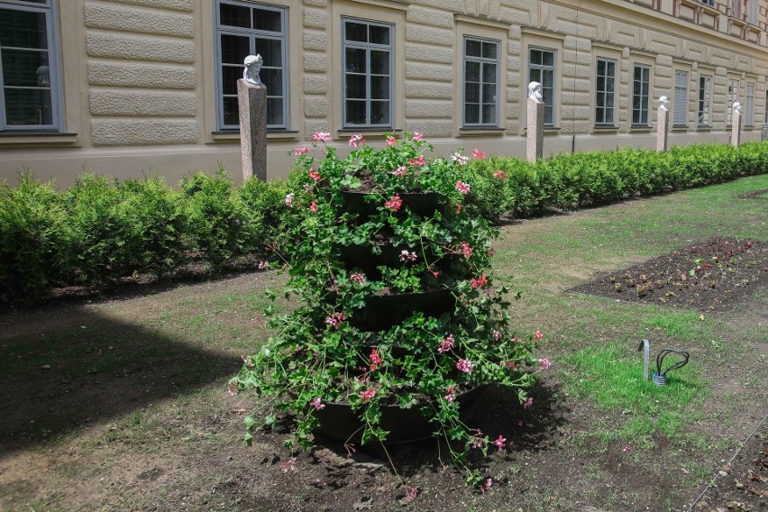 Ogród włoski w Muzeum - Zamku w Łańcucie już po rewitalizacji [ZDJĘCIA]