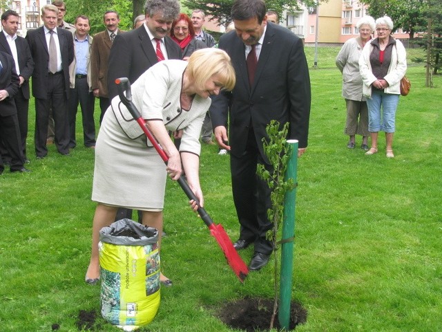 Podczas otwarcia parku zasadzono dwa dęby.