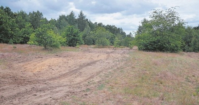 Teren po poligonie ma ok. 130 hektarów. 