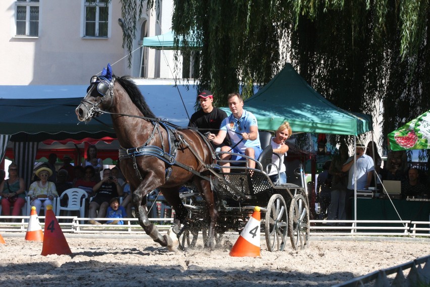 XIX Jeździeckie Mistrzostwa Gwiazd Lewada Art Cup w...