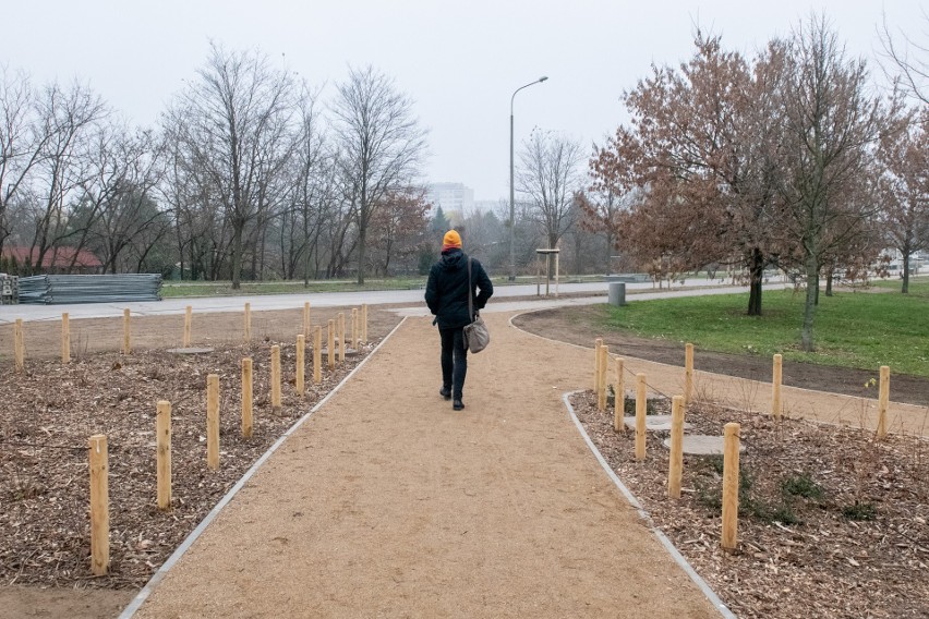 Park kieszonkowy na Łazarzu. Zobacz, jak wygląda zieleniec przy Kolejowej [ZDJĘCIA]