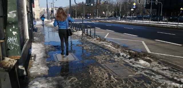 Wielu łodzian skakało przez kałuże...