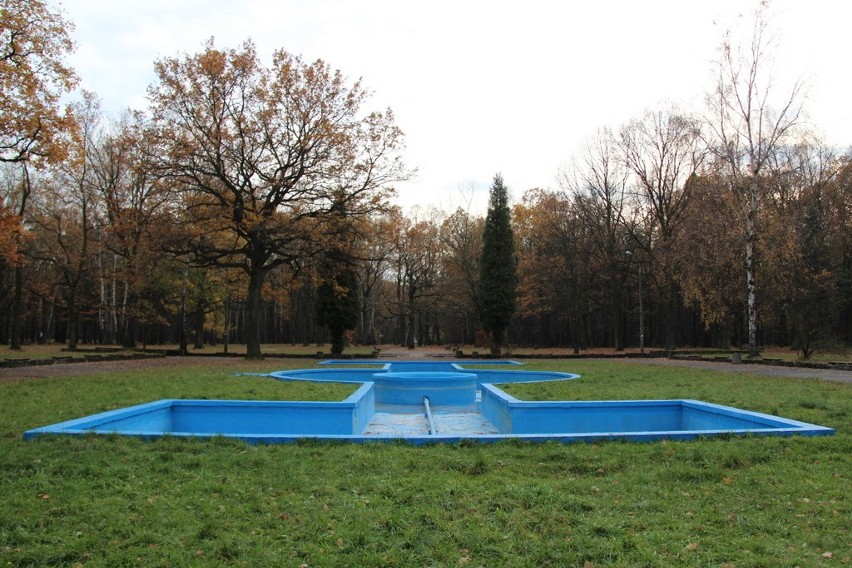 Tak wygląda park Zielona w jesiennych barwach