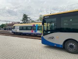 Autobusowe Linie Dowozowe Kolei Małopolskich. Zmiany w rozkładach: niektóre autobusy pojadą inaczej, sprawdź