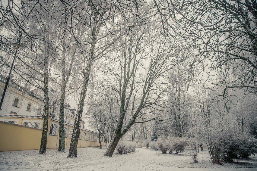 Park Planty w Białymstoku w zimowej scenerii na zdjęciach...