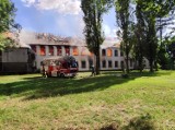 Pożar w Zgorzelcu na Dolnym Śląsku. Przy ul. Reymonta płonie hala TeWaPol [ZDJĘCIA]