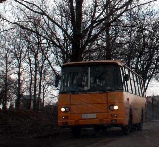 Policjanci skontrolowali 72 pojazdy w tym 17 autobusów