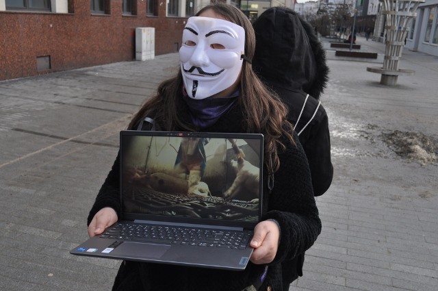 Anonimowi aktywiści starali się przekonać przechodniów do przejścia na weganizm. Pokazywali im filmy o tragicznych warunkach w jakich trzymane są zwierzęta.