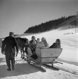 Kultowe kuligi z Orbisem. To 70 lat temu była wielka podhalańska atrakcja. Saniami z Zakopanego do Bukowiny [ARCHIWALNE ZDJĘCIA] 