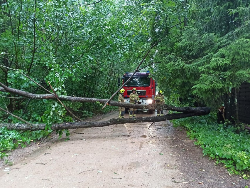 Wichury w Białymstoku i województwie podlaskim. Drzewa spadały na samochody i blokowały drogi