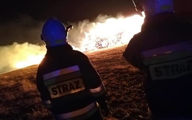 Pożar budynku w Toruniu. Z ogniem przy ul. Grudziądzkiej walczyło 20 zastępów strażaków