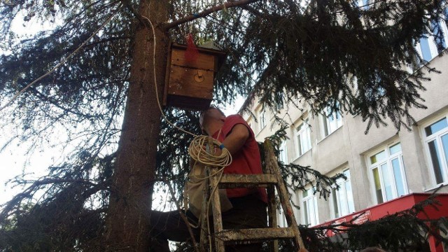 Zamontowana przy Zespole Szkół nr 26 Ptasia Budka czeka na pierwszych lokatorów. Gdy tylko się pojawią, będzie można obserwować ich życie.