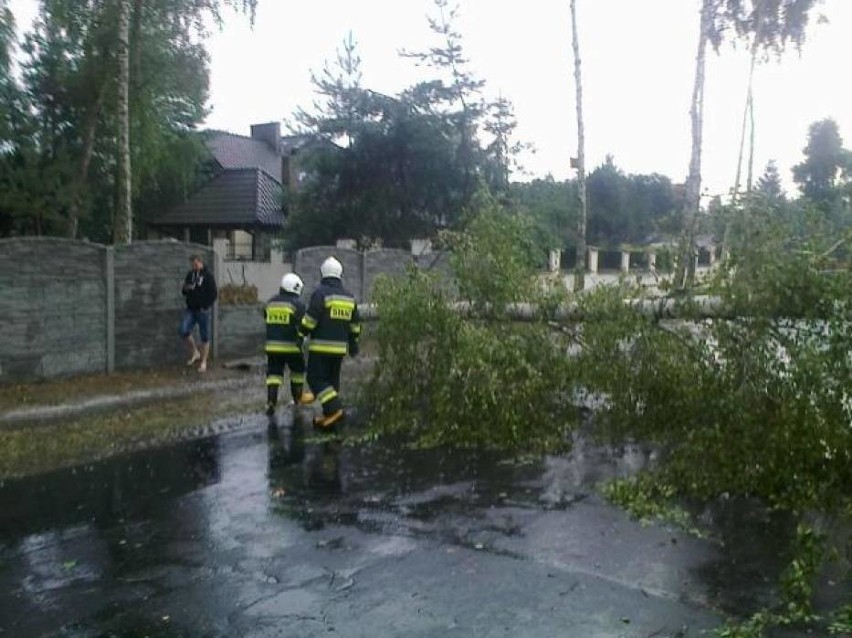 Burza w Kaliszu i okolicach. Połamane drzewa, uszkodzone...