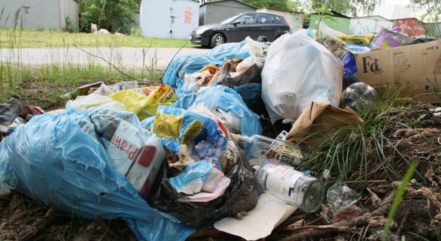 Te wory pełne śmieci straszą przy wjeździe do Pracowniczego Ogrodu Działkowego imienia Stefana Żeromskiego w Kielcach.