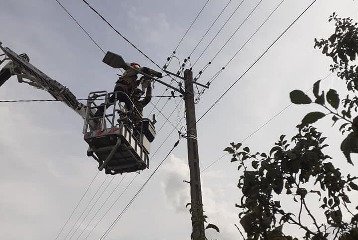 Bocian uwięziony między liniami wysokiego napięcia. Ratowali go strażacy z Końskich i Fałkowa