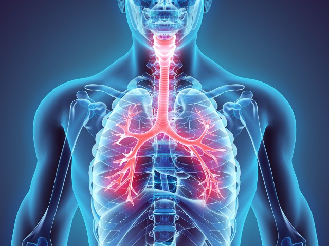 Przed rozwojem wielu chorób układu oddechowego można ustrzec się prowadząc, zdrowy tryb życia.