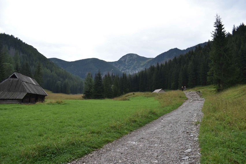 Tatry. Modlitwa w Dolinie Jaworzynki. Górale wspominali, jak to dawniej wypasali bydło i owce w górach