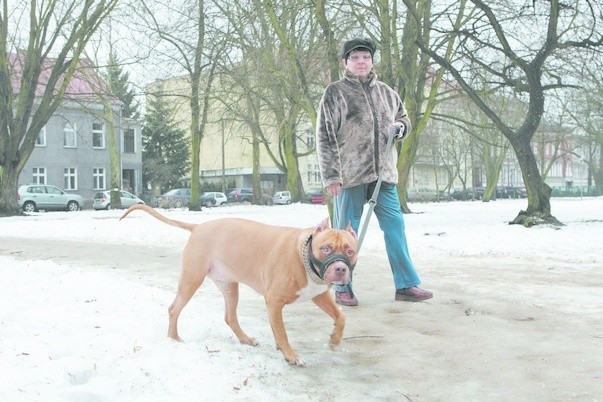 Nasi czytelnicy zszokowani są liczbą psich odchodów, które odkrył topniejący śnieg na chodnikach.