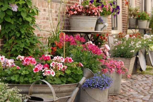 Różne stare naczynia i pojemniki warto wykorzystać do posadzenia kwiatów. Dzięki temu nasz ogród lub balkon zyska bardzo oryginalny wystrój.