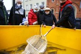 Kraków. Place targowe pełne klientów na przedświątecznych zakupach. Po ile karpie i choinki? [ZDJĘCIA]