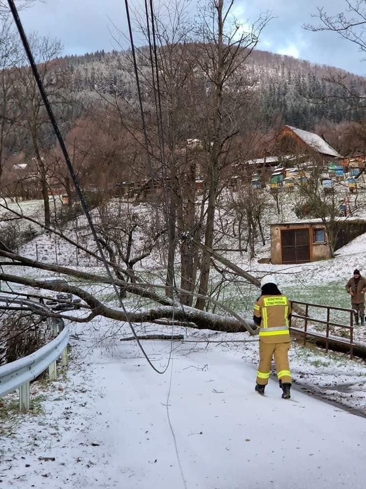 Powalone drzewo i słup telekomunikacyjny w Lipniki