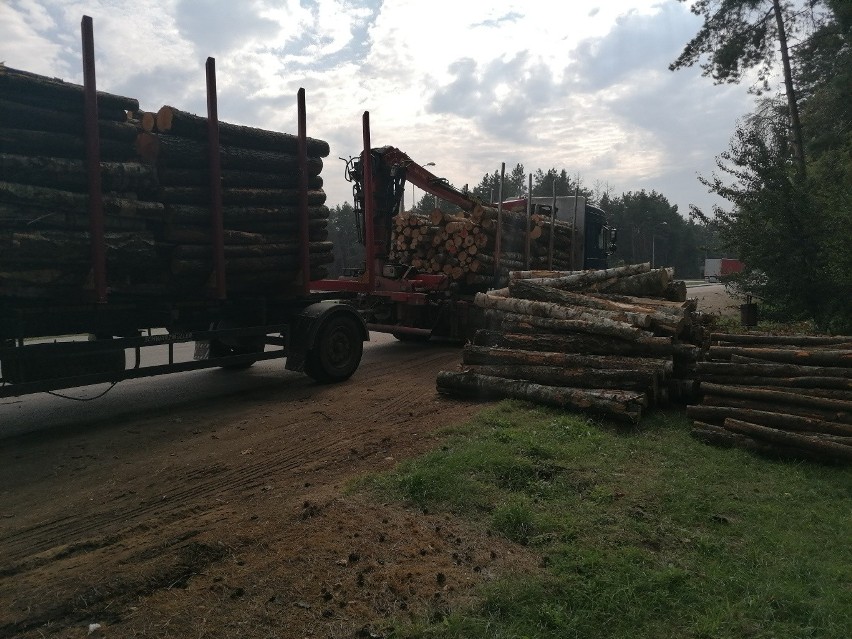 Akcja "Drogołamacz". Ładunek drewna był o 12 100 kg za ciężki (zdjęcia)