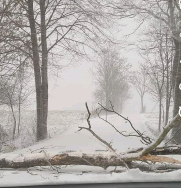Połamane drzewa i korki, to efekt burzy śnieżnej na...