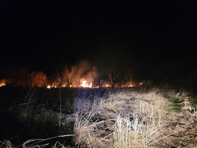W Cianowicach pożar traw od fajerwerków