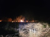 Od fajerwerków zapaliły się trawy. Pożar w Cianowicach nocą w Nowy Rok. Ogień był blisko zabudowań