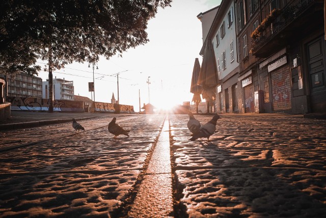 Miasta na prawach powiatu są najbardziej zadłużoną grupą samorządów - wynika z rocznego sprawozdania Krajowej Rady Regionalnej Izby Obrachunkowej. W ciągu siedmiu ostatnich lat zadłużenie powiatów grodzkich zwiększyło się o 1 166 zł, tj. o 46,5 proc. Powiaty grodzkie są najbardziej zadłużoną grupą samorządów. Charakteryzują się najwyższym poziomem wydatków w przeliczeniu na jednego mieszkańca spośród wszystkich typów jednostek samorządu terytorialnego.Jakie miasta w Polsce są najbardziej zadłużone w przeliczeniu na jednego mieszkańca? Jak w zestawieniu Krajowej Rady RIO wypadły miasta z województwa kujawsko-pomorskiego? Zobacz >>>>>