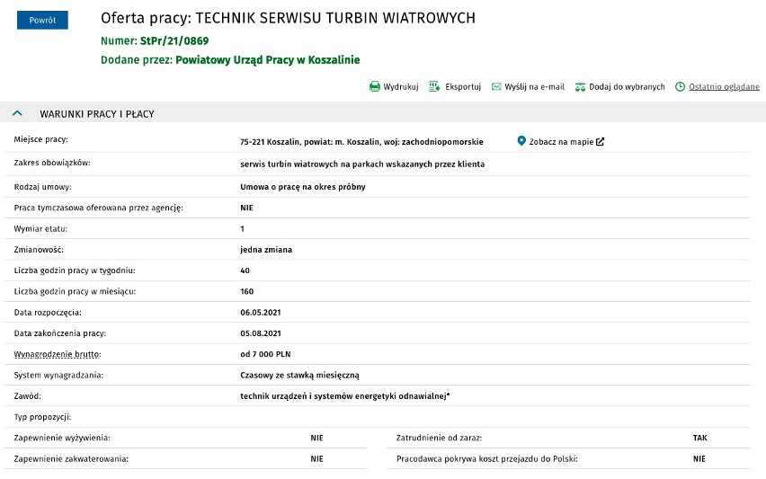 Nowe oferty pracy w Koszalinie i w regionie. Na tych stanowiskach zarobisz ponad 5 tysięcy złotych