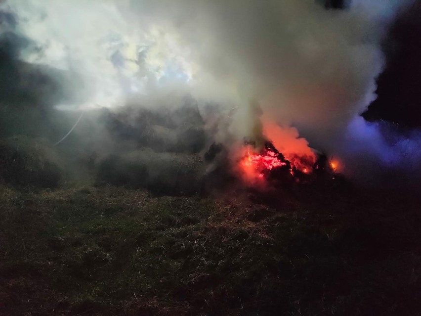 Pożar pryzmy słomy w Kurozwękach w powiecie staszowskim. Do walki z ogniem ruszyło kilkudziesięciu strażaków. Zobacz zdjęcia
