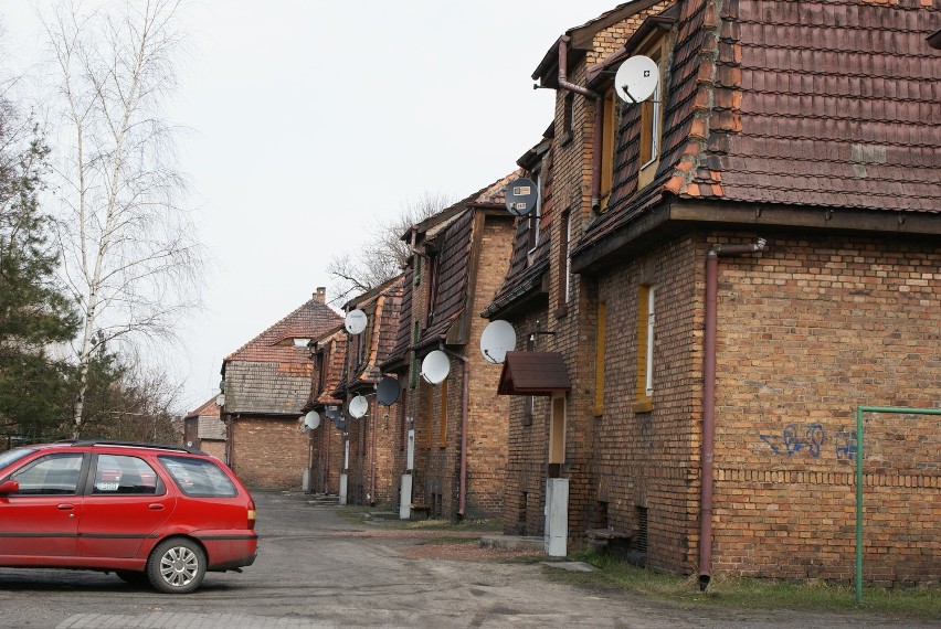 Familoki z Czerwionki ponownie znajdą się na szlaku Industriady 