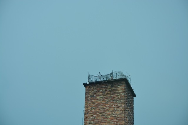 Na kominie szkoły w Moskorzewie zamontowano ostre, metalowe pręty. Takie zabezpieczenia miały odstraszyć ptaki, które co roku budują tu gniazdo. 