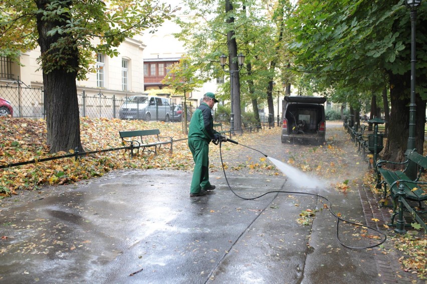 Orkan Ksawery w Krakowie. Wielkie sprzątanie na Plantach [ZDJĘCIA]