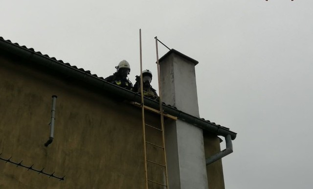 Strażacy wyjeżdżali do pożaru, zadymienia i z powodu uruchomionej czujki dymu. Najpierw interweniowali w kamienicy w Chełmnie przy  ul. Grudziądzkiej. Uruchomienie się czujki tlenku węgla i lekko wyczuwalny zapach dymu zaniepokoiły właściciela lokum na pierwszym piętrze. Pomiar detektorem wielogazowym nie wykazał zagrożenia. Z kolei sadze w kominie paliły się w domu w Kijewie Królewskim. Nikt nie został ucierpiał. Strażacy wygasili palenisko, ugasili pożar proszkiem gaśniczym i wybrali sadze z komina. Zalecili nie korzystać z  pieca do czasu wykonania przeglądu kominiarskiego.