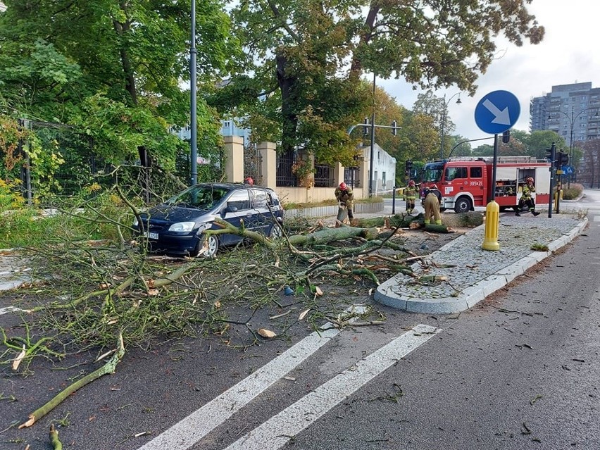 Drzewo runęło na samochód w centrum Łodzi. Konar usunęli strażacy ZDJĘCIA