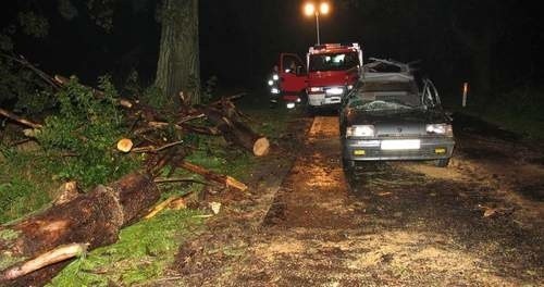 Dziś w nocy, we wsi Elgiszewo spadające drzewo niemal całkowicie zniszczyło osobowe renault, którym podróżowało pięć osób