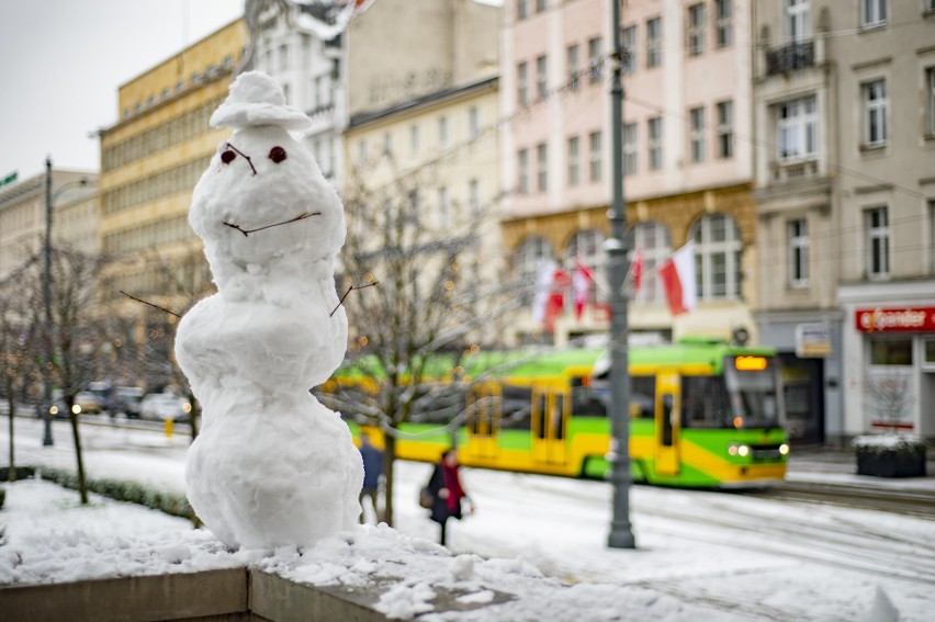 W Poznaniu spadł śnieg, co cieszy najmłodszych, ale i dodaje...