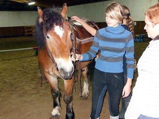Kochasz konie? Możesz związać z nimi swoją przyszłość. W tym roku w szkole w Bielicach zostanie ponowiony nabór do technikum hodowli koni.