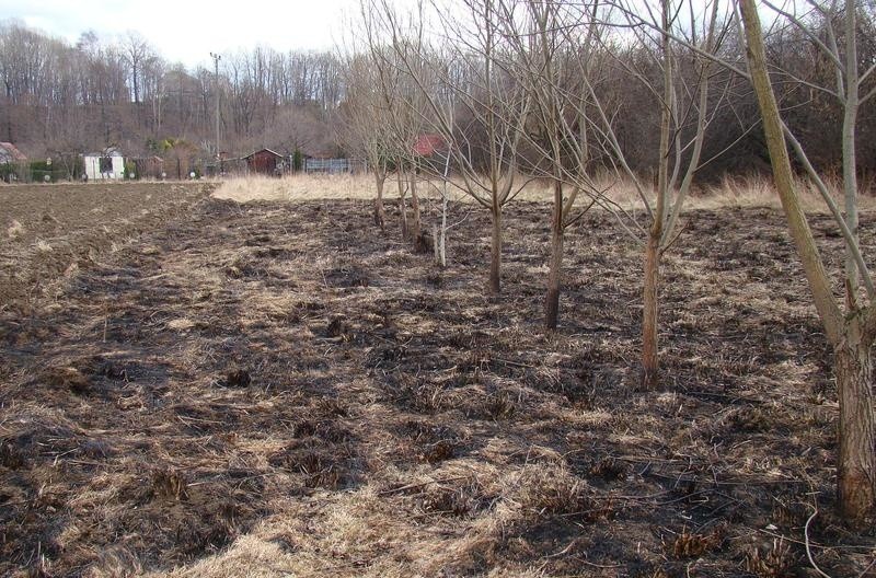 Mieszkaniec Kęt próbował gasić palącą się trawę. Niewiele brakowało, żeby przypłacił to życiem