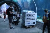 Orientarium w Łodzi. W oceanarium stanęły "śmieciowe instalacje" z okazji Międzynarodowego Dnia Oceanów. Zobaczcie zdjęcia i film