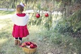 Prognoza pogody na Boże Narodzenie 2019 roku. Mróz przyjdzie, ale bez śniegu? Czy spadnie śnieg na święta?