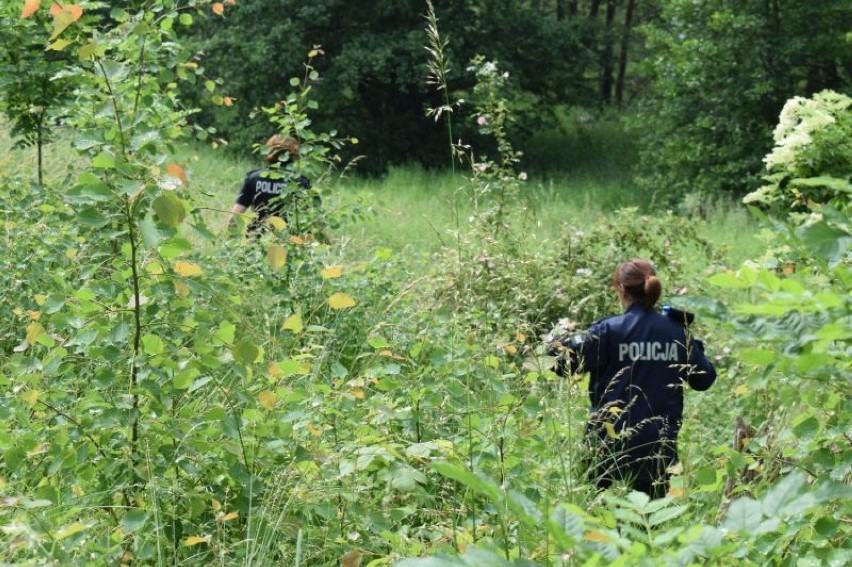 Mieszkaniec Rytla uratowany przez swojego psa. 83-latek topił się w bagnie, ujadanie usłyszeli sąsiedzi. Historia jak z filmu! 