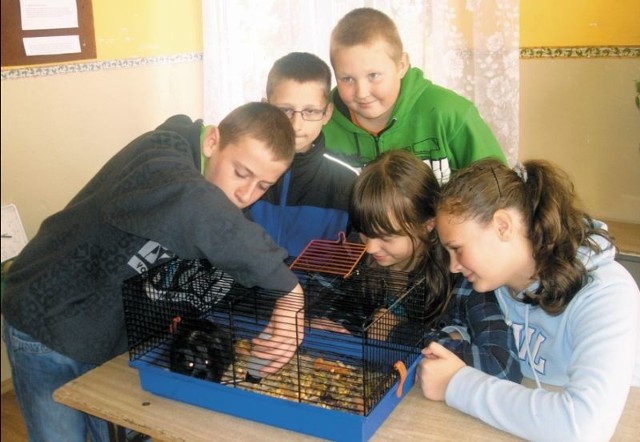 Uczniowie VI klasy Szkoły Podstawowej w Żelechach zgodnie twierdzą, że nie chcą zmieniać szkoły. &#8211; Tu się wszyscy znamy i dobrze się tu czujemy &#8211; mówią. Obecnie ich klasa liczy pięć osób.